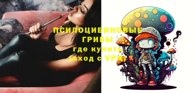 Галлюциногенные грибы Psilocybe  Ясногорск 